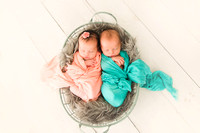 Keri Newborn Twins